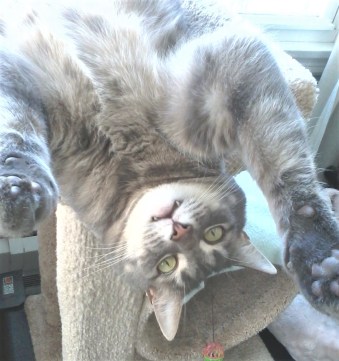 IMG_20150224_140049 (2)