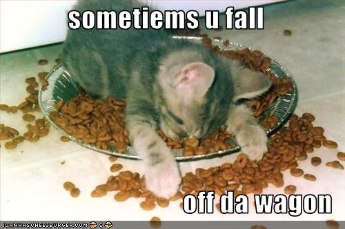 falling off the wagon