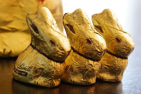 chocolate bunnies