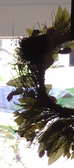 5-25-18 - on the nest