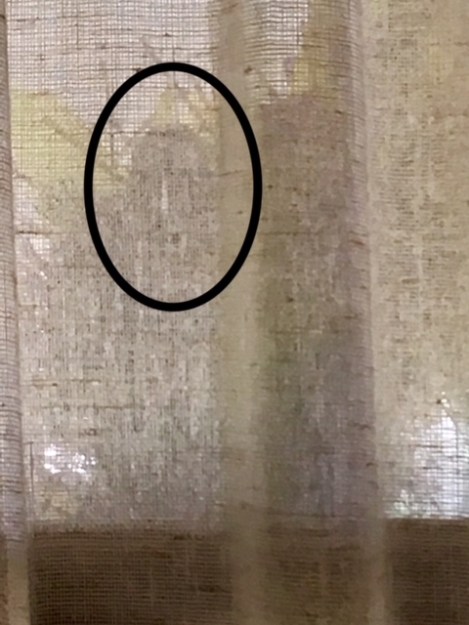 Mama on the nest 5-23-18