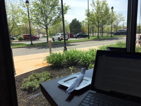 view from Sakura Garden in South Windsor