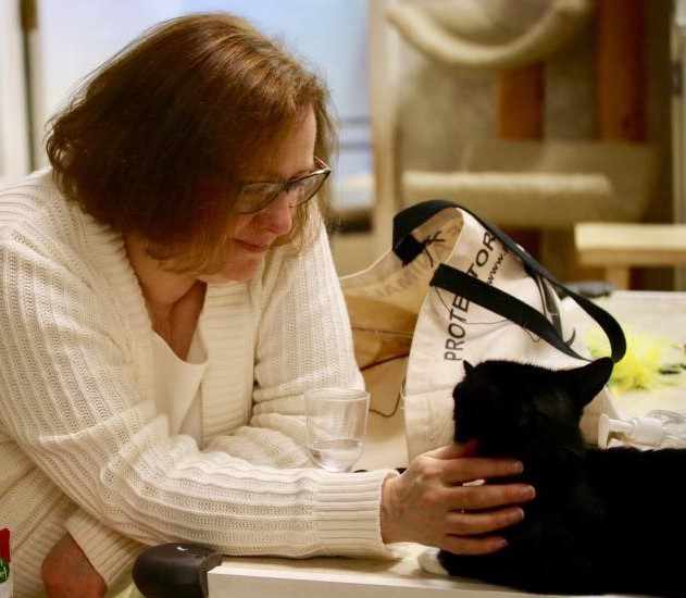 Charlotte - pop-up cat cafe 5-20-18